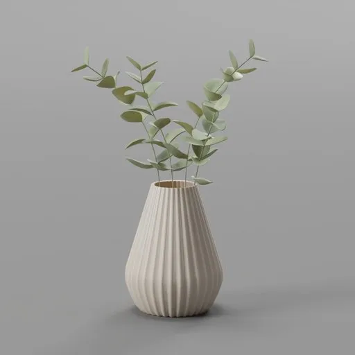 Eucalyptus Leaf Plant