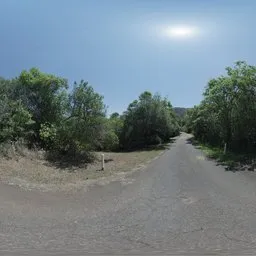 Narrow Moonlit Road