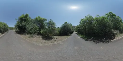 Narrow Moonlit Road
