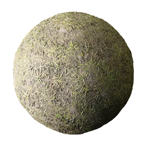 Grass Ground