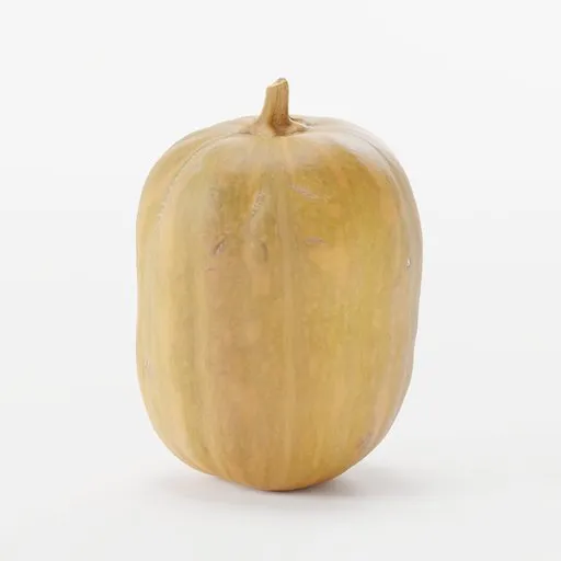 High-detail realistic squash 3D model optimized for Blender, featuring extreme vertex colors and normal map textures.