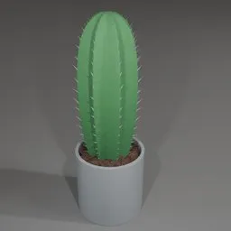 Detailed 3D cactus model with textures, perfect for Blender renderings and interior design visualizations.