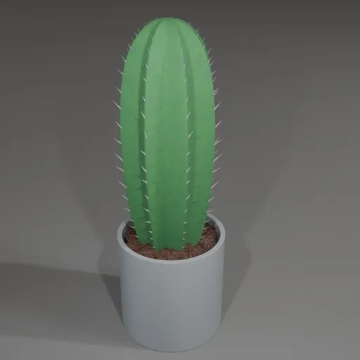 Cactus