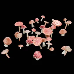 Mushrooms