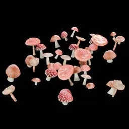 Mushrooms