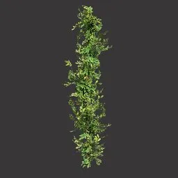 Climbing Vine Branch