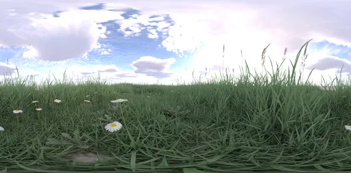 Morning cloud bluesky grass