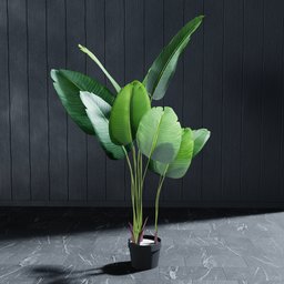 "Artificial Banana Tree 160 cm - Nature Indoor 3D Model for Blender 3D: A realistic and customizable artificial plant with big leaves and sleek lines. Created by Carpoforo Tencalla and rendered in Vue with powerful cycles render. Perfect for adding greenery to your virtual scenes. Get it at HK-Green.eu."