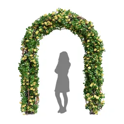 Climbing Roses Garden Bow Yellow