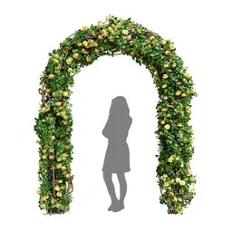 Climbing Roses Garden Bow Yellow