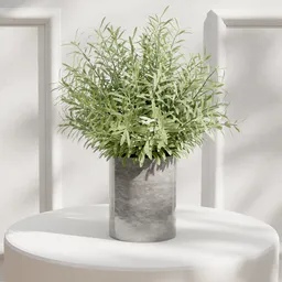 Potted Green Foliage Plant