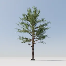 Tree 30