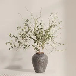 Quiet Branch Harmony