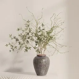 Quiet Branch Harmony