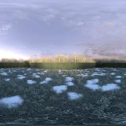 Garden Winter Backdrop Morning