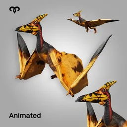 Pteranodon Animated