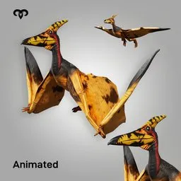 Pteranodon Animated