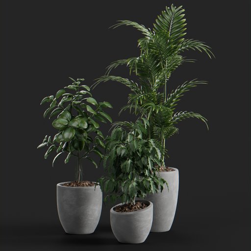Thumbnail: Aria plant set
