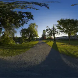 Sunny Walk in the City Park