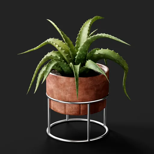 Potted Aloe Vera