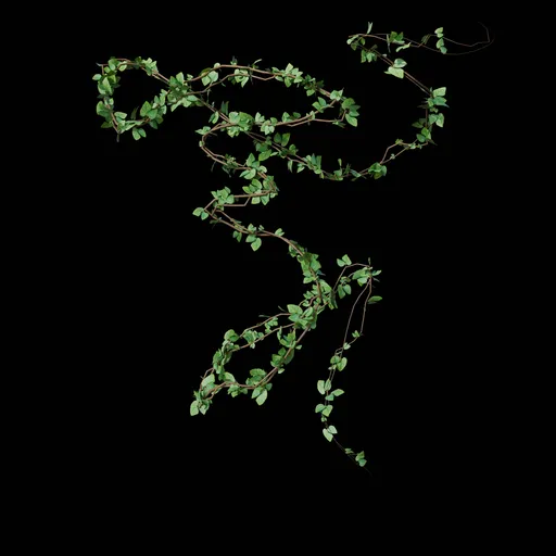 Climbing Vine - Leaf 11