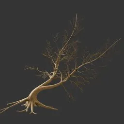 Dry Tree - Leaning Tree