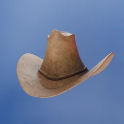 Cowboy Hat