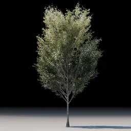 Detailed 3D model of a leafy Styrak tree with textured foliage for Blender rendering.