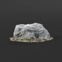 "White Stone 3D model for Blender 3D: A realistic depiction of a rock with a plant growing out of it, surrounded by soft bushes. Photoscan of a white stone found in Zabovresky, with occasional small rubble and sparse floating particles."