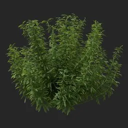 Simple Bush