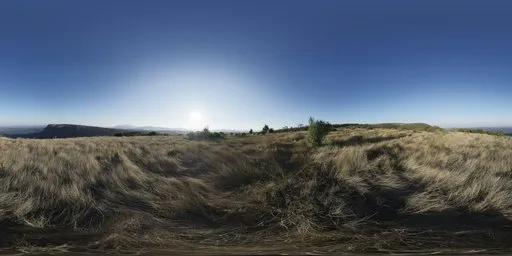 Mpumalanga Veld