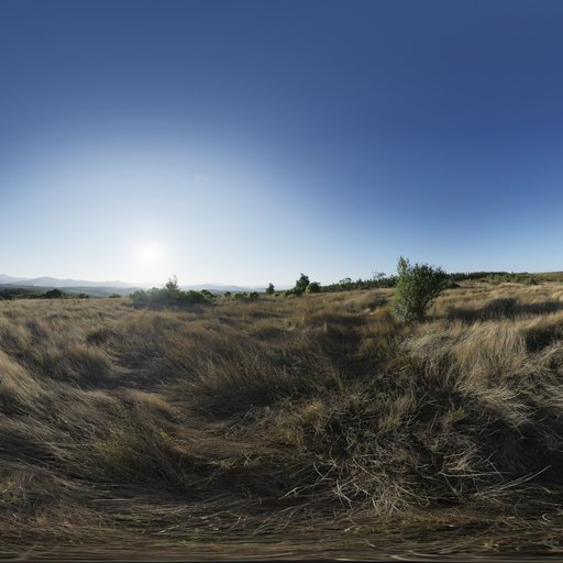 Mpumalanga Veld