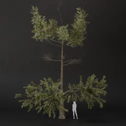 SJ-Bright Green Timber Tree
