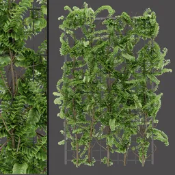 Vertical Garden Plant