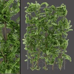 Vertical Garden Plant