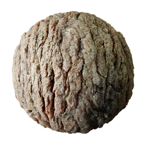 Tree Bark