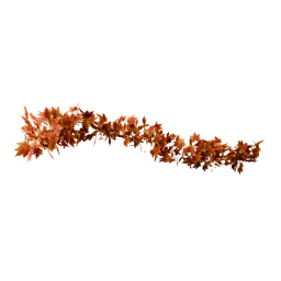 Geocurve Flow! Leaves