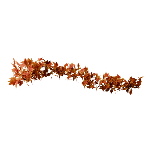 Geocurve Flow! Leaves