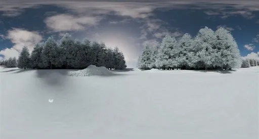 Frozen Forest Clearing Winter