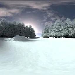 Frozen Forest Clearing Winter