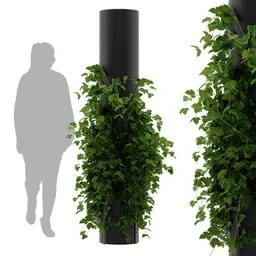 simple ivy column plant