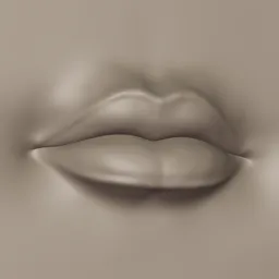 Female Lips Small