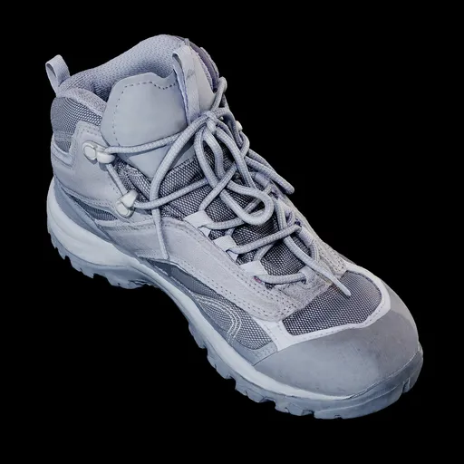 Scan shoe13