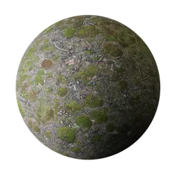 Mossy Ground