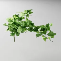 "Artificial tendril Philodendron Cor. v1 3D model for Blender 3D - nature indoor category. Inspired by Bernt Tunold, Jang Seung-eop and Greta Thunberg. Detailed scenery with branches, ivy and vines. Geometry nodes created with Bagapia addon."