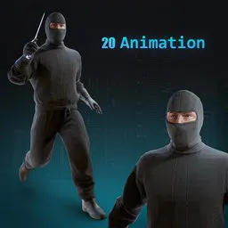 Special Assassin-Rigged-Animated