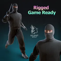 Special Assassin-Rigged-Animated