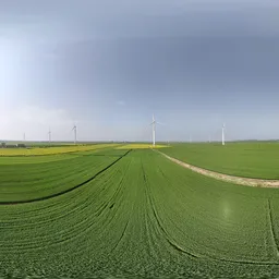 Green framland