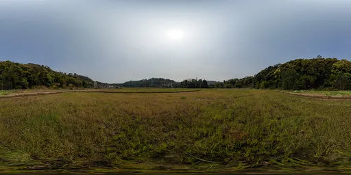 Green grass in the morning