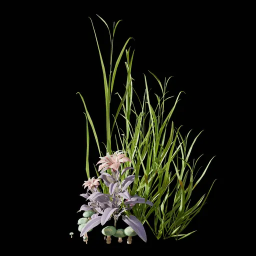 Garden and Yard Plants
